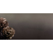 Итальянские обои Inkiostro Bianco, коллекция Story 2013/2019 Collections, артикул INKDETE1602B