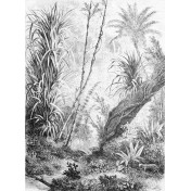 Итальянские обои Inkiostro Bianco, коллекция Story 2013/2019 Collections, артикул INKDFFU1601