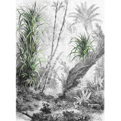 Итальянские обои Inkiostro Bianco, коллекция Story 2013/2019 Collections, артикул INKDFFU1602