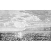 Итальянские обои Inkiostro Bianco, коллекция Story 2013/2019 Collections, артикул INKFERD1601