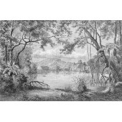 Итальянские обои Inkiostro Bianco, коллекция Story 2013/2019 Collections, артикул INKFMWN1601