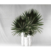 Итальянские обои Inkiostro Bianco, коллекция Story 2013/2019 Collections, артикул INKIEYI1801