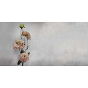 Итальянские обои Inkiostro Bianco, коллекция Story 2013/2019 Collections, артикул INKINNC1601