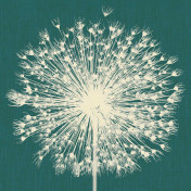 Итальянские обои Inkiostro Bianco, коллекция Story 2013/2019 Collections, артикул INKNNLM1403