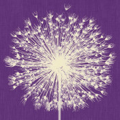 Итальянские обои Inkiostro Bianco, коллекция Story 2013/2019 Collections, артикул INKNNLM1404