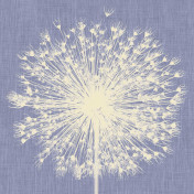 Итальянские обои Inkiostro Bianco, коллекция Story 2013/2019 Collections, артикул INKNNLM1406