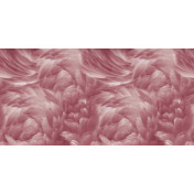 Итальянские обои Inkiostro Bianco, коллекция Story 2013/2019 Collections, артикул INKRABH1802