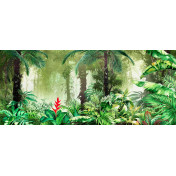 Итальянские обои Inkiostro Bianco, коллекция Story 2013/2019 Collections, артикул INKTDTW1801