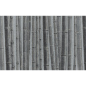 Панно Italreflexes, коллекция Macro, артикул Bamboo-011/Silver