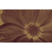 Панно Italreflexes, коллекция Macro, артикул Flower-013/PureGold