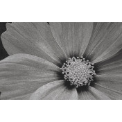 Панно Italreflexes, коллекция Macro, артикул Flower-013/Slate