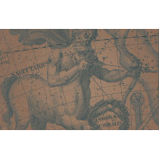 Панно Italreflexes, коллекция Macro, артикул Sagittarius-006/Copper