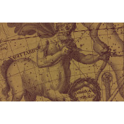 Панно Italreflexes, коллекция Macro, артикул Sagittarius-006/PureGold