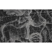 Панно Italreflexes, коллекция Macro, артикул Sagittarius-006/Slate