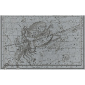 Панно Italreflexes, коллекция Macro, артикул Scorpio-018/Silver