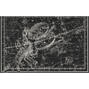 Панно Italreflexes, коллекция Macro, артикул Scorpio-018/Slate