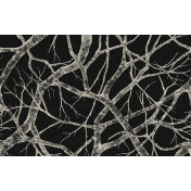 Панно Italreflexes, коллекция Macro, артикул Silver Birch-008/Slate