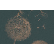 Панно Italreflexes, коллекция Macro, артикул Taraxacum-003/Copper