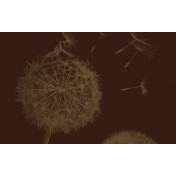 Панно Italreflexes, коллекция Macro, артикул Taraxacum-003/Gold