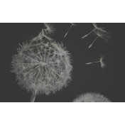 Панно Italreflexes, коллекция Macro, артикул Taraxacum-003/Silver