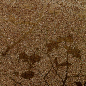 Обои J.A. Wallcovering, коллекция Miracle, артикул T802