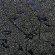 Обои J.A. Wallcovering, коллекция Miracle, артикул T804