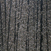 Обои J.A. Wallcovering, коллекция Miracle, артикул Z206/18