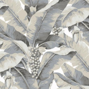 Американские обои Jaima Brown, коллекция Anthology Resource, артикул DB10100