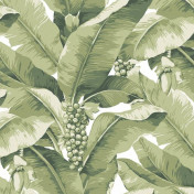 Американские обои Jaima Brown, коллекция Anthology Resource, артикул DB10104