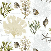 Американские обои Jaima Brown, коллекция Charleston Home, артикул JB50000