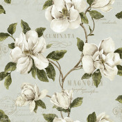 Американские обои Jaima Brown, коллекция Charleston Home, артикул JB50405