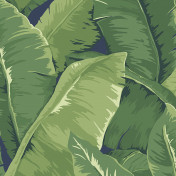 Американские обои Jaima Brown, коллекция Charleston Home, артикул JB50712