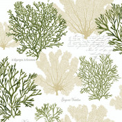 Американские обои Jaima Brown, коллекция Charleston Home, артикул JB51500