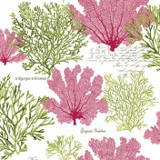 Американские обои Jaima Brown, коллекция Charleston Home, артикул JB51509