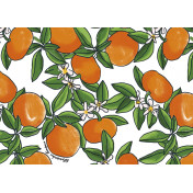 Итальянские обои Jannelli & Volpi, коллекция Enriquezland, артикул 25540