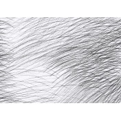 Итальянские обои Jannelli & Volpi, коллекция Marimekko 6, артикул 25143