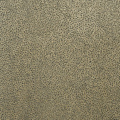 Итальянские обои Jannelli & Volpi, коллекция JV 901 Vip, артикул 04-4541