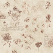 Итальянские обои Jannelli & Volpi, коллекция Leonardo, артикул 23002