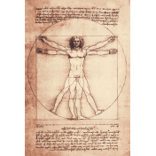 Обои Jannelli&Volpi Leonardo 23091