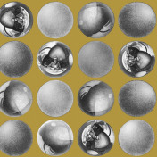 Итальянские обои Jannelli & Volpi, коллекция M.C. Escher, артикул 23172