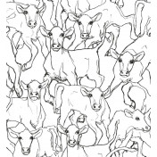 Обои Jannelli&Volpi Marimekko 14106