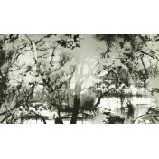 Французские обои Jean Paul Gaultier, коллекция Les Papiers, артикул 3307-01