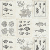 Немецкие обои KT-Exclusive, коллекция Flagman Series - Destination USA, артикул TH50908