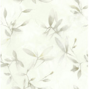 Обои KT-Exclusive Jasmine ja31808