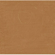 Немецкие обои KT-Exclusive, коллекция Radiant, артикул TN50607