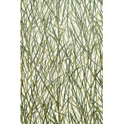 Французские обои Lelievre, коллекция Troisieme Chapitre, артикул 6454-03