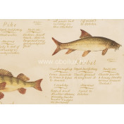 Английские обои Lewis & Wood, коллекция Book I - Sporting & Character, артикул LW4262/European Freshwater Fish 1846