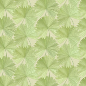 Английские обои Linwood, коллекция Tango, артикул LW072/2