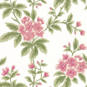 Английские обои Little Greene, коллекция London Wallpapers III, артикул 0282GRPARLO
