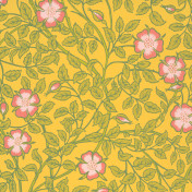 Английские обои Little Greene, коллекция National Trust Papers III, артикул 0263BRINDIA